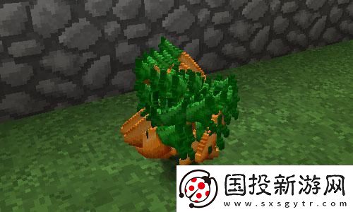 掌控指尖的舞蹈