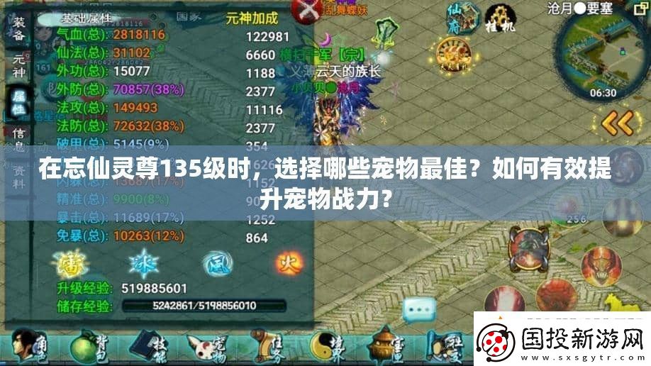 在忘仙灵尊135级时选择哪些宠物最佳如何有效提升宠物战力