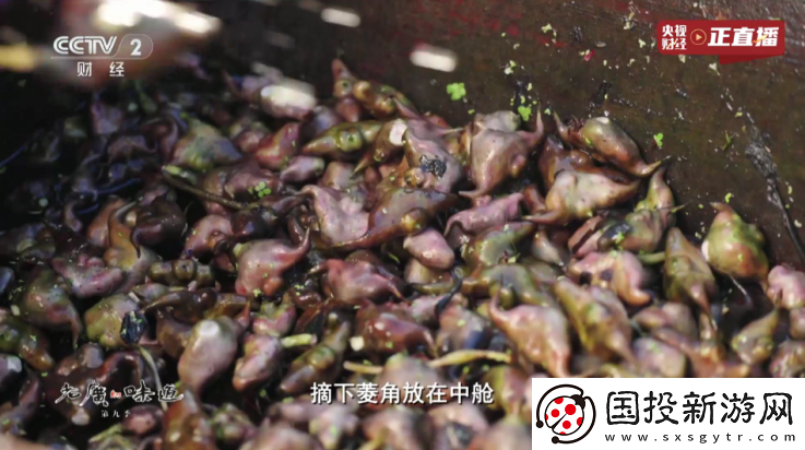 庥豆传剧原创在线看视频完整下载-庥豆传剧原创在线看视频完整下载
